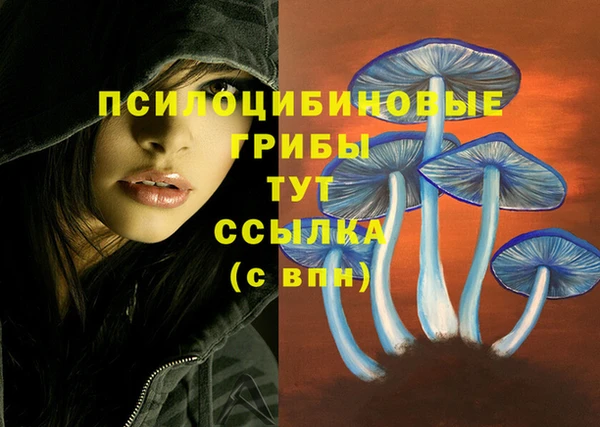 apvp Зерноград