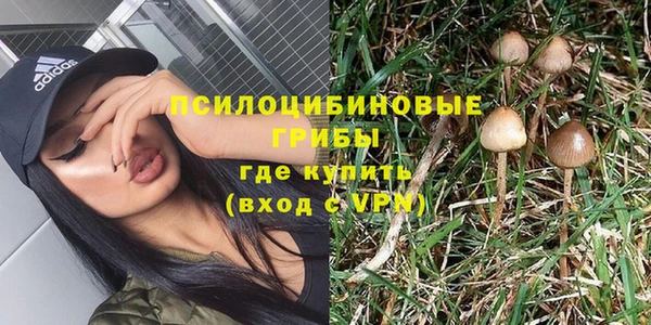 apvp Зерноград